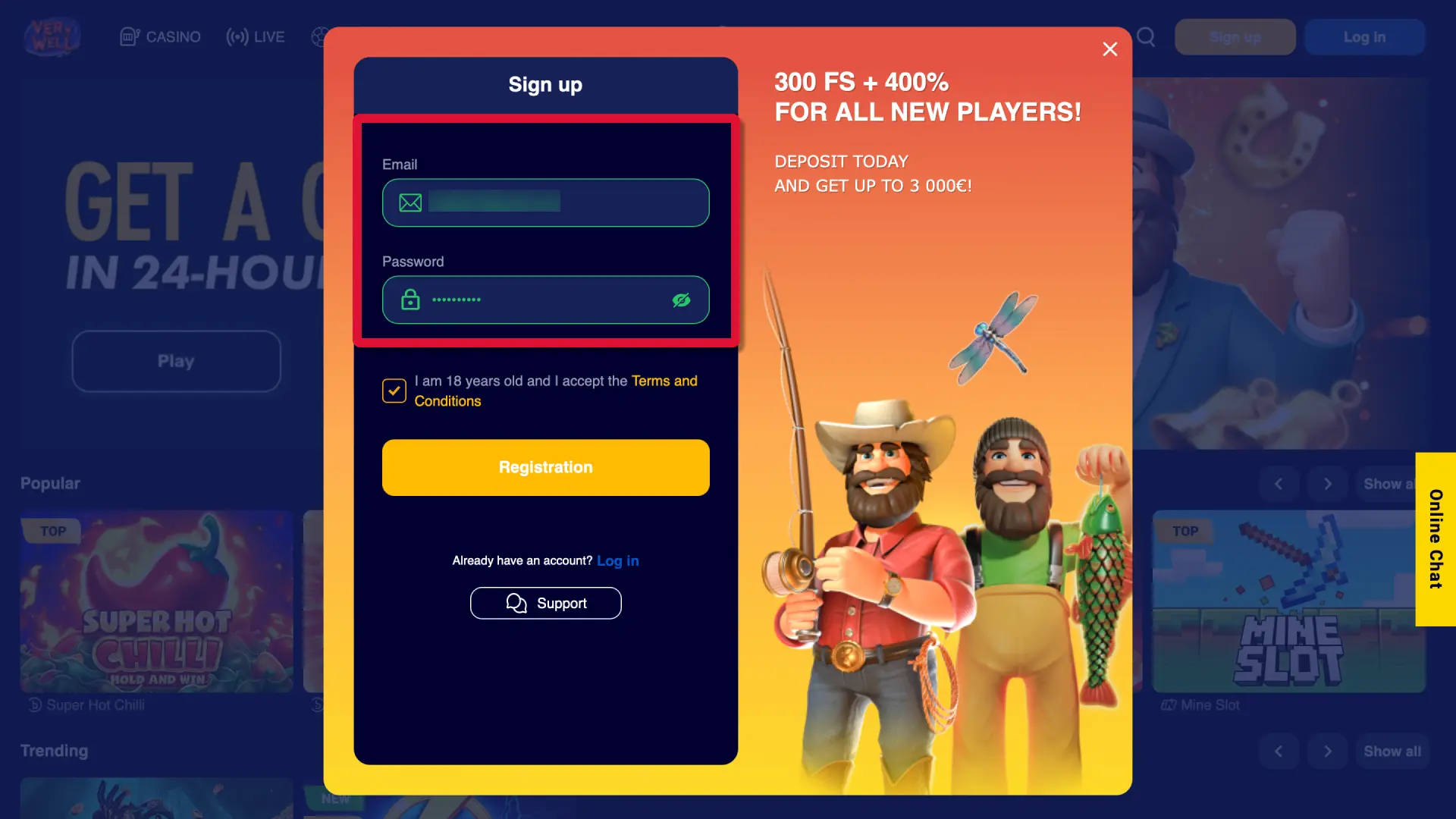 Provide your full name, date of birth, email, and UK address on VeryWell registration.
